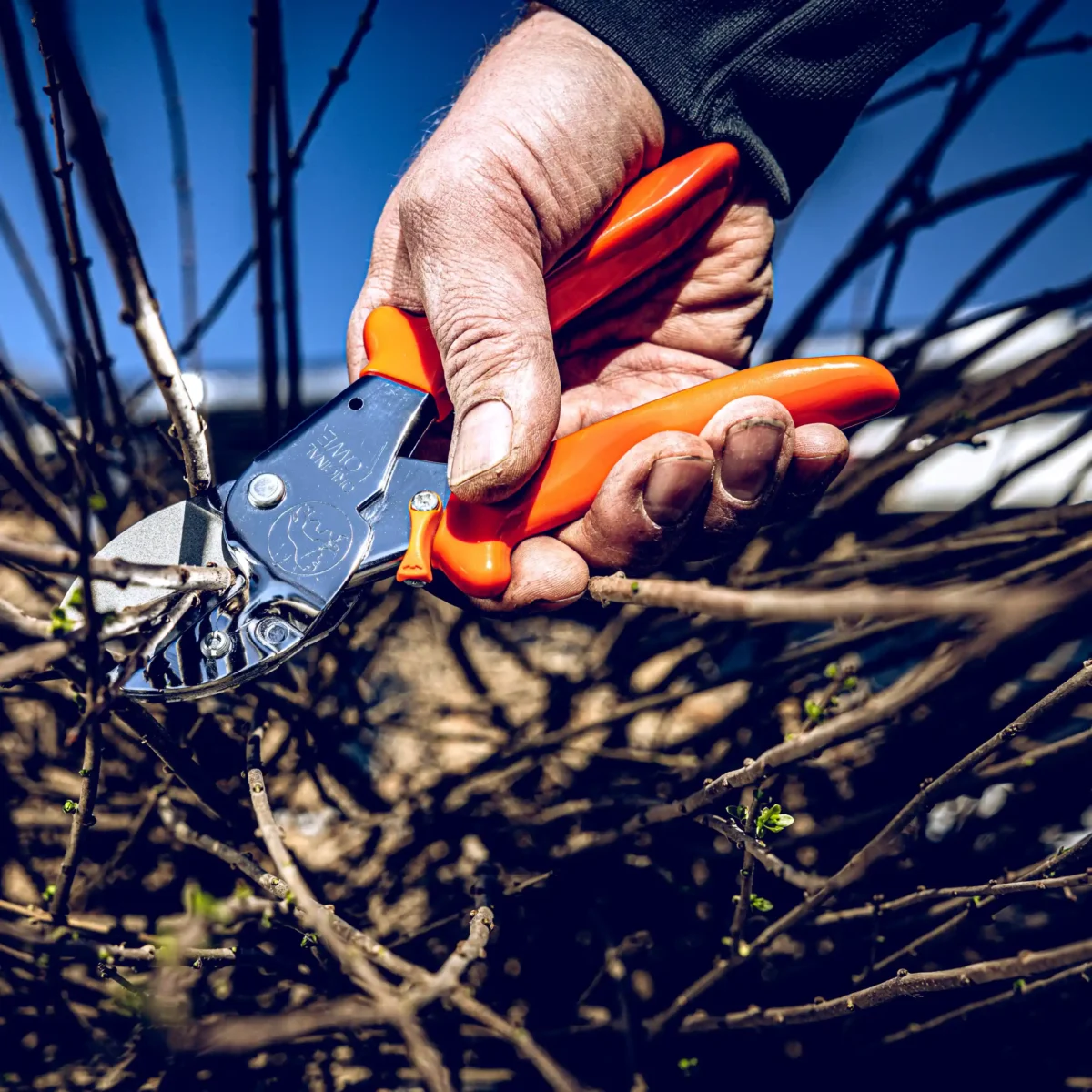 Originalni ročaj Löwe 1 za manjše roke