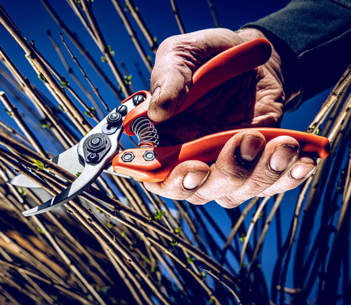Löwe 11 Precision Clean Cut za ženske