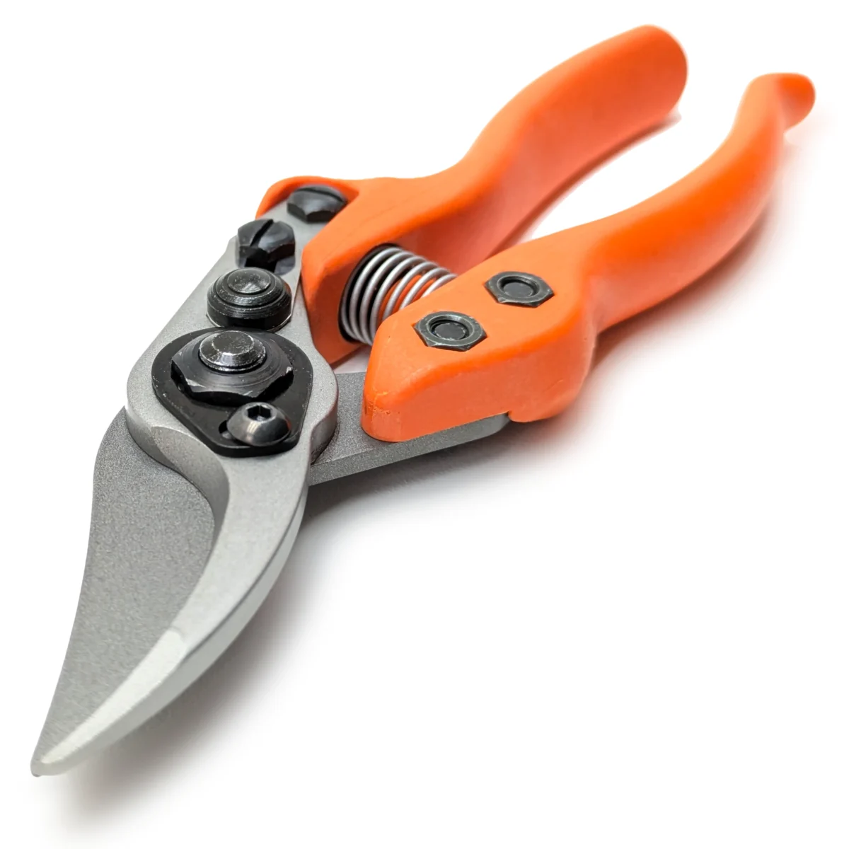 Löwe 12 Precision Clean Cut majhne vrtne škarje za ženske