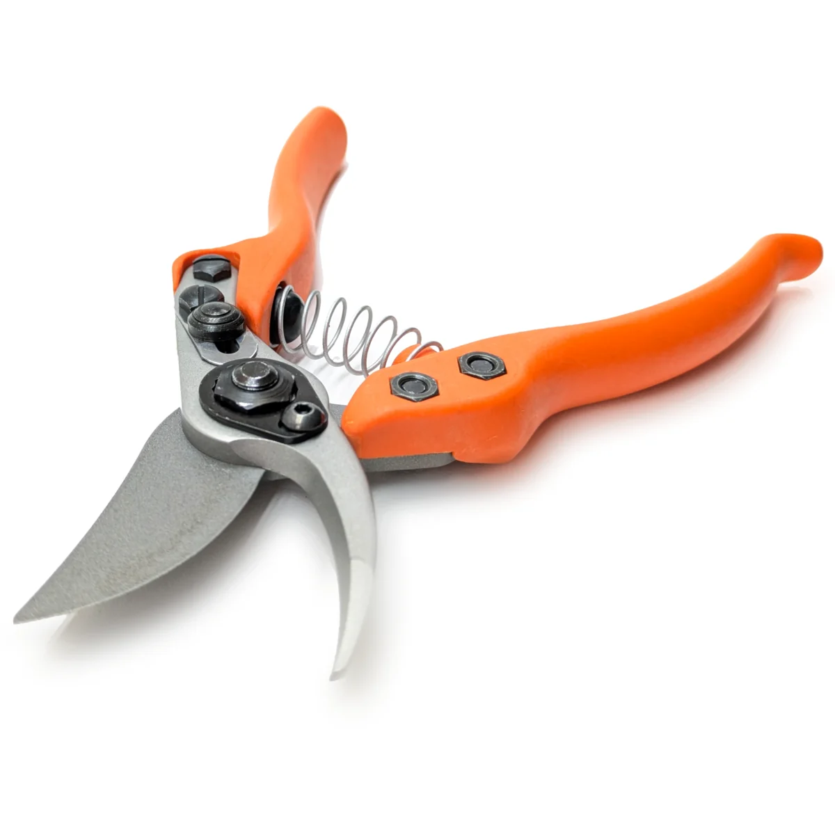 Löwe 12 Precision Clean Cut majhne vrtne škarje za ženske