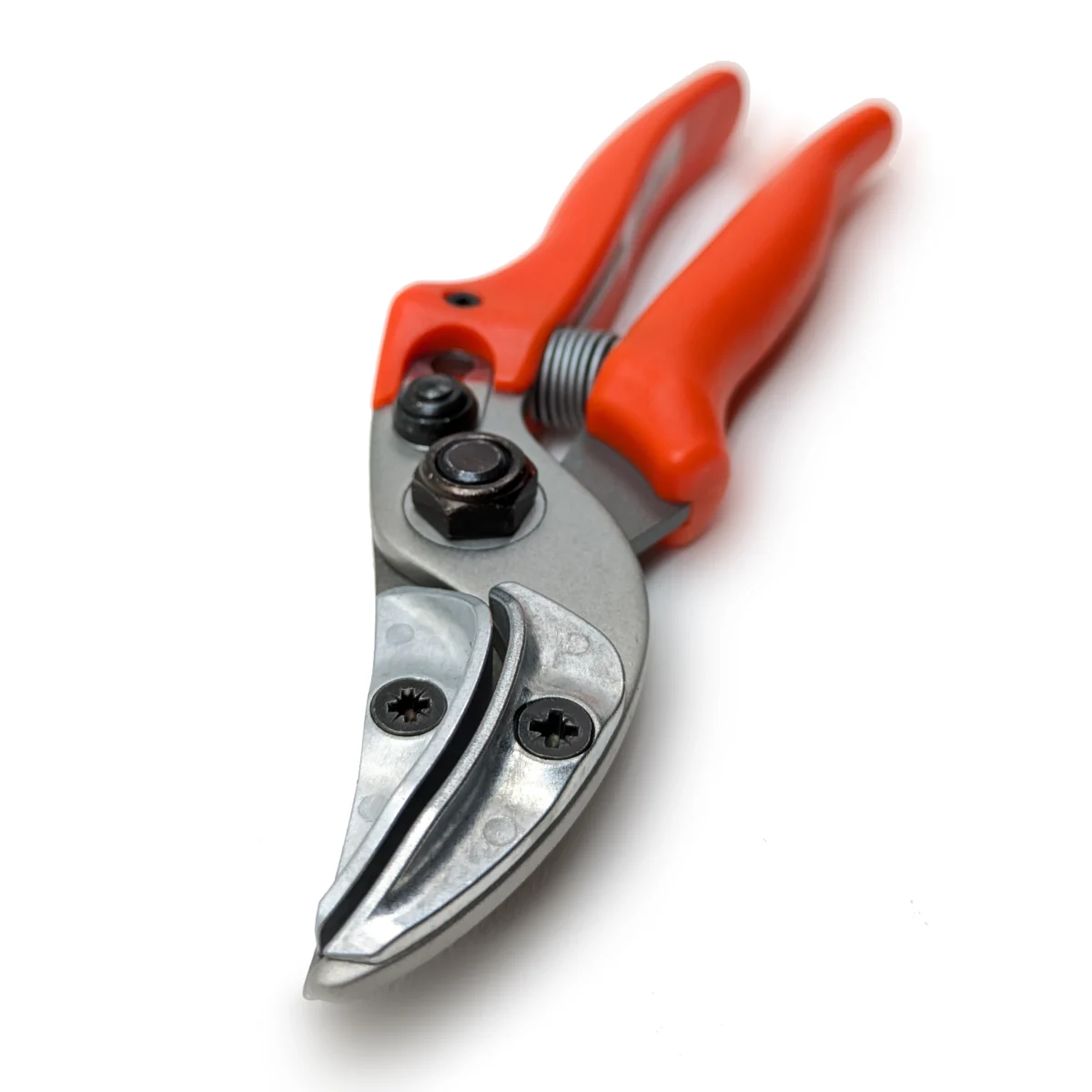 Originalne predstavitvene škarje Löwe rose