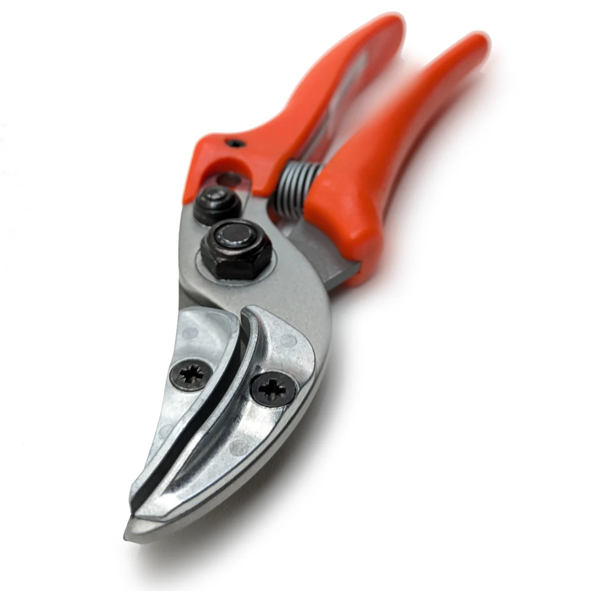 Originalne predstavitvene škarje Löwe rose